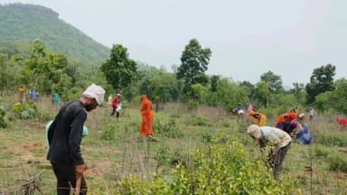 अजयगढ़: हरियाली मिशन में अतिक्रमण का अड़ंगा विरोध के बीच भी 16 बीटों में साढ़े सात लाख पौधों का रोपण जारी।