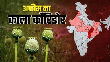 झारखंड से पंजाब तक फैला अफीम का काला नेटवर्क, बीच में छत्तीसगढ़ की बड़ी भूमिका! #afeem #cg