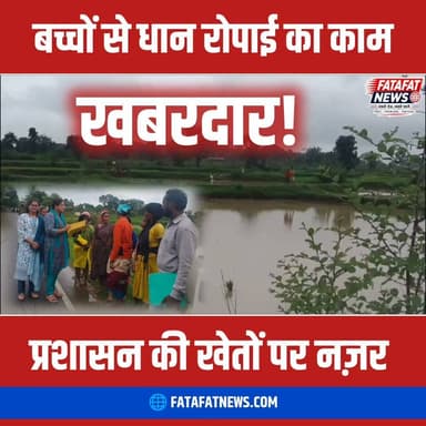 छत्तीसगढ़ में सूरजपुर जिले के रामानुजनगर से एक चौंकाने वाला मामला सामने आया है, जहाँ मजदूरों की किल्लत के बीच मासूम स्कूली बच्चों से खेतों में धान का रोपा लगवाया जा रहा था। 'चाइल्डलाइन 1098' पर मिली गुप्त सूचना के बाद संयुक्त प्रशासनिक टीम ने अचानक खेत में दबिश दी और कक्षा 5वीं से 7वीं में पढ़ने वाले 4 बच्चों को सुरक्षित रेस्क्यू किया। ₹450 रोजाना की दिहाड़ी देकर बच्चों को स्कूल से दूर रखा गया था। अब इस मामले में श्रम विभाग ने आरोपी खेत मालिक (नियोक्ता) के खिलाफ सख्त कानूनी कार्रवाई शुरू कर दी है।
बाल श्रम प्रतिषेध अधिनियम के तहत पकड़े जाने पर खेत मालिक या नियोक्ता को 6 महीने से 2 साल तक की जेल और ₹50,000 तक का भारी जुर्माना हो सकता है। खेती का सीजन हो या कोई भी काम, मासूमों का भविष्य खेतों में न झोंकें, उन्हें स्कूल भेजें। अगर आपको भी कहीं बाल श्रम होता दिखे, तो तुरंत टोल-फ्री नंबर 1098 पर रिपोर्ट करें।
#Surajpur #BalShram #Childline1098 #ChhattisgarhNews #ViralVideo #Awareness #StopChildLabour #Ramanujnagar #Kanoon #LatestNews #FatafatNews