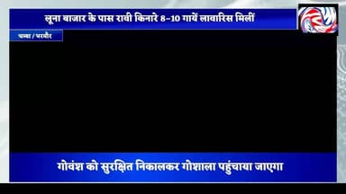 चम्बा में बेसहारा छोड़ी गई गायों के रेस्क्यू के लिए प्रशासन सख्त, एसडीएम ने दिए तुरंत कार्रवाई के आदेश
सुरेंद्र ठाकुर
चम्बा, 22 जुलाई 2026
चम्बा उपमंडल की उप-तहसील धरवाला के अंतर्गत लूना बाजार के समीप रावी नदी किनारे बेसहारा छोड़े गए गोवंश के मामले में प्रशासन ने सख्त रुख अपनाया है। अनुविभागीय अधिकारी (एसडीएम) चम्बा ने मामले का तत्काल संज्ञान लेते हुए संबंधित अधिकारियों को मौके पर कार्रवाई के निर्देश जारी किए हैं।
जानकारी के अनुसार लूना बाजार से लगभग दो किलोमीटर पीछे रावी नदी के दाईं ओर स्थित एक दुर्गम और खड़ी पहाड़ी क्षेत्र में करीब 8 से 10 गायों को लावारिस हालत में छोड़ दिया गया है। क्षेत्र में न तो पर्याप्त चारे की व्यवस्था है और न ही पशुओं के सुरक्षित आवागमन का कोई रास्ता है। स्थानीय लोगों का कहना है कि भूस्खलन और अन्य प्राकृतिक खतरों के चलते इन पशुओं की जान पर गंभीर संकट बना हुआ है।
मामले की गंभीरता को देखते हुए एसडीएम चम्बा ने नायब तहसीलदार धरवाला को लिखित निर्देश जारी किए हैं। आदेशों के तहत स्थानीय ग्राम पंचायत के साथ समन्वय स्थापित कर मौके का निरीक्षण करने, विस्तृत रिपोर्ट तैयार करने तथा फंसे हुए गोवंश को सुरक्षित निकालकर निकटवर्ती गोशाला पहुंचाने के निर्देश दिए गए हैं।
प्रशासन ने स्पष्ट किया है कि गोवंश को इस तरह लावारिस और खतरनाक परिस्थितियों में छोड़ने वाले लोगों की पहचान की जा रही है। दोषियों के खिलाफ कानून के अनुसार सख्त कार्रवाई की जाएगी और किसी भी प्रकार की लापरवाही बर्दाश्त नहीं की जाएगी।
प्रशासन ने आम नागरिकों से भी अपील की है कि यदि कहीं भी बेसहारा पशुओं को संकट की स्थिति में देखें या पशु क्रूरता की कोई घटना सामने आए तो इसकी सूचना तुरंत संबंधित अधिकारियों को दें, ताकि समय रहते आवश्यक कार्रवाई सुनिश्चित की जा सके।
#Chamba #ChambaNews #HimachalPradesh #Dharwala #RaviRiver #CowRescue #AnimalWelfare #GauSeva #StrayCattle #RescueOperation #SDMChamba #AdministrationAction #BreakingNews #PangiLiveNews #SurenderThakur #HimachalNews #AnimalProtection #JusticeForAnimals #GoShala #PublicAwareness