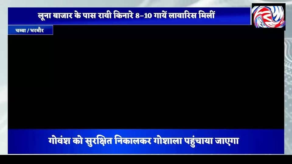 चम्बा में बेसहारा छोड़ी गई गायों के रेस्क्यू के लिए प्रशासन सख्त, एसडीएम ने दिए तुरंत कार्रवाई के आदेश
सुरेंद्र ठाकुर
चम्बा, 22 जुलाई 2026
चम्बा उपमंडल की उप-तहसील धरवाला के अंतर्गत लूना बाजार के समीप रावी नदी किनारे बेसहारा छोड़े गए गोवंश के मामले में प्रशासन ने सख्त रुख अपनाया है। अनुविभागीय अधिकारी (एसडीएम) चम्बा ने मामले का तत्काल संज्ञान लेते हुए संबंधित अधिकारियों को मौके पर कार्रवाई के निर्देश जारी किए हैं।
जानकारी के अनुसार लूना बाजार से लगभग दो किलोमीटर पीछे रावी नदी के दाईं ओर स्थित एक दुर्गम और खड़ी पहाड़ी क्षेत्र में करीब 8 से 10 गायों को लावारिस हालत में छोड़ दिया गया है। क्षेत्र में न तो पर्याप्त चारे की व्यवस्था है और न ही पशुओं के सुरक्षित आवागमन का कोई रास्ता है। स्थानीय लोगों का कहना है कि भूस्खलन और अन्य प्राकृतिक खतरों के चलते इन पशुओं की जान पर गंभीर संकट बना हुआ है।
मामले की गंभीरता को देखते हुए एसडीएम चम्बा ने नायब तहसीलदार धरवाला को लिखित निर्देश जारी किए हैं। आदेशों के तहत स्थानीय ग्राम पंचायत के साथ समन्वय स्थापित कर मौके का निरीक्षण करने, विस्तृत रिपोर्ट तैयार करने तथा फंसे हुए गोवंश को सुरक्षित निकालकर निकटवर्ती गोशाला पहुंचाने के निर्देश दिए गए हैं।
प्रशासन ने स्पष्ट किया है कि गोवंश को इस तरह लावारिस और खतरनाक परिस्थितियों में छोड़ने वाले लोगों की पहचान की जा रही है। दोषियों के खिलाफ कानून के अनुसार सख्त कार्रवाई की जाएगी और किसी भी प्रकार की लापरवाही बर्दाश्त नहीं की जाएगी।
प्रशासन ने आम नागरिकों से भी अपील की है कि यदि कहीं भी बेसहारा पशुओं को संकट की स्थिति में देखें या पशु क्रूरता की कोई घटना सामने आए तो इसकी सूचना तुरंत संबंधित अधिकारियों को दें, ताकि समय रहते आवश्यक कार्रवाई सुनिश्चित की जा सके।
#Chamba #ChambaNews #HimachalPradesh #Dharwala #RaviRiver #CowRescue #AnimalWelfare #GauSeva #StrayCattle #RescueOperation #SDMChamba #AdministrationAction #BreakingNews #PangiLiveNews #SurenderThakur #HimachalNews #AnimalProtection #JusticeForAnimals #GoShala #PublicAwareness