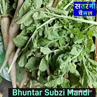आइए जानते हैं भुंतर सब्ज़ी मंडी में आज दिनांक 22 जुलाई को सब्ज़ियों और फलों के ताज़ा भाव।" इन रेट में परिवर्तन हो सकता है |
#bhuntarsubzimandi #takolisubzimandi #bandrolsubzimandi