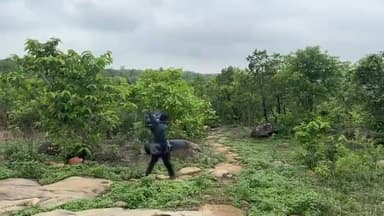 देखिए चित्रकूट का शांत और मनमोहक नज़ारा, कामतानाथ धाम से। 🙏🌿
आस्था, प्रकृति और आध्यात्मिक शांति का अद्भुत संगम—जहाँ हर पल मन को सुकून देता है। मंदाकिनी की पावन धारा और कामतानाथ प्रभु की कृपा से सराबोर चित्रकूट का यह मनोहारी दृश्य श्रद्धालुओं और पर्यटकों को अपनी ओर आकर्षित करता है।
जय कामतानाथ सरकार! 🚩
#चित्रकूट #कामतानाथ #Kamtanath #Chitrakoot #धार्मिकस्थल #आस्था #सनातन #प्रकृति