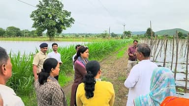 🌱 उन्नतशील किसान के खेत पहुंचे कलेक्टर 🌿
परंपरागत खेती से अलग राह चुनकर सब्जी की उन्नत खेती कर रहे किसान रवि शंकर मनेश्वर के खेत का कलेक्टर ने निरीक्षण किया।
इस दौरान कलेक्टर ने किसान से खेती की आधुनिक तकनीकों, उत्पादन और आय बढ़ाने के तरीकों पर विस्तार से चर्चा की। रवि शंकर मनेश्वर की मेहनत और नवाचार क्षेत्र के किसानों के लिए प्रेरणा बन रहे हैं।
संदेश:
"खेती में बदलाव ही बेहतर आमदनी की नई राह है।" 🌾
#HKNewsSeoni #AdvancedFarmer #VegetableFarming #ModernAgriculture #FarmerSuccess #Seoni #MadhyaPradesh Rajneesh Harvansh Singh Collector Office Seoni किसान सत्याग्रह
