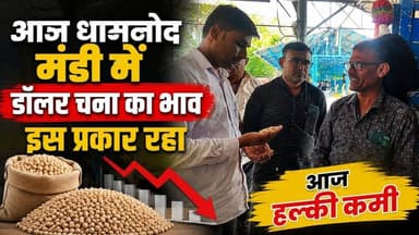 आज धामनोद मंडी में डॉलर चना का भाव इस प्रकार रहा, आज हल्की कमी
आज डॉलर चना 8705, 8485, 8450, 8405, 8410, 8300, 8200, 8210, 8100, 8050 भाव क्वालिटी अनुसार रहा...
23 जुलाई 2026
Dhamnod Mandi Bhav
.
.
.
.
.
.
.
.
.
.
.
.
.
.
.
.
.
.
.
#dhamnodmandibhav #dollarchanamandibhav #dollarchanamandi #mandibhavtoday #dollarchanakabhav