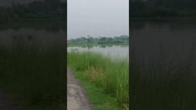 मझना नाले का कहर! देखते ही देखते पानी में डूबी धान की फसल | #KushinagarNews