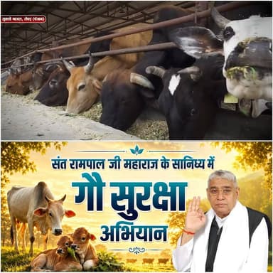 सुक्खे माजरा, रोपड़, पंजाब में चारे की कमी खत्म |
#annpurnamuhimby_santrampalji #annapurna #santrampalji #annapurnamuhim