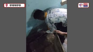 #ତାଳଚେର_ବାଲୁଙ୍ଗାରୁ_ବିଷଧର_ନାଗ_ସାପ_ଉଦ୍ଧାର
ତାଳଚେର ବାଲୁଙ୍ଗା ଅଞ୍ଚଳରେ ଏକ ବିଷଧର ନାଗ ସାପ ଦେଖାଯିବା ପରେ ସ୍ଥାନୀୟ ଲୋକଙ୍କ ମଧ୍ୟରେ ଆତଙ୍କ ଖେଳିଯାଇଥିଲା। ଖବର ପାଇ ସତ୍ୟସନାତ ସଂଗଠନର ସକ୍ରିୟ ସଦସ୍ୟ ତଥା ଗୋରକ୍ଷକ ସଞ୍ଜୟ ମହାପାତ୍ର ଘଟଣାସ୍ଥଳରେ ପହଞ୍ଚି ସମ୍ପୂର୍ଣ୍ଣ ସତର୍କତାର ସହ ବିଷଧର ନାଗ ସାପକୁ ସୁରକ୍ଷିତ ଭାବେ ଉଦ୍ଧାର କରିଥିଲେ।
#BreakingNews #pabitranewsodishalive #pabitranews #latastnewsupdate #OdishaNews #anugul #talcher
