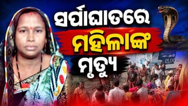 ଶୋଇଥିବା ବେଳେ କାମୁଡ଼ିଦେଲା ବିଷଧର ସାପ....
ବେଗୁନିଆପଡ଼ାରେ ୩୫ ବର୍ଷୀୟା ମହିଳାଙ୍କ ଅକାଳ ବିୟୋଗ, ଗାଁରେ ଶୋକର ଛାୟା...