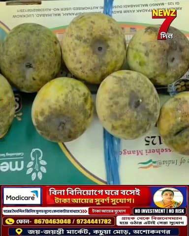 আপেল আম! কাশ্মীরি আপেলের মত দেখতে সুন্দর গন্ধযুক্ত মিষ্টি আম গুলি দেখুন, ভাগ্য বদলাচ্ছে চাষিরও