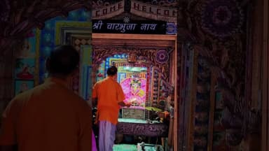 जय हो चारभुजा नाथ #charbhujanath #charbhujaji #charbhuja #shorts #viral #youtubeshorts