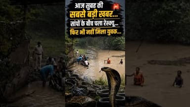 सांपों के बीच चला सर्च ऑपरेशन #facts #RescueOperation #SDRF #MonsoonAlert