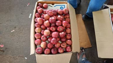 24 जुलाई 2026 दिल्ली सेब 🍎 के होलसेल भाव #fruitmarket