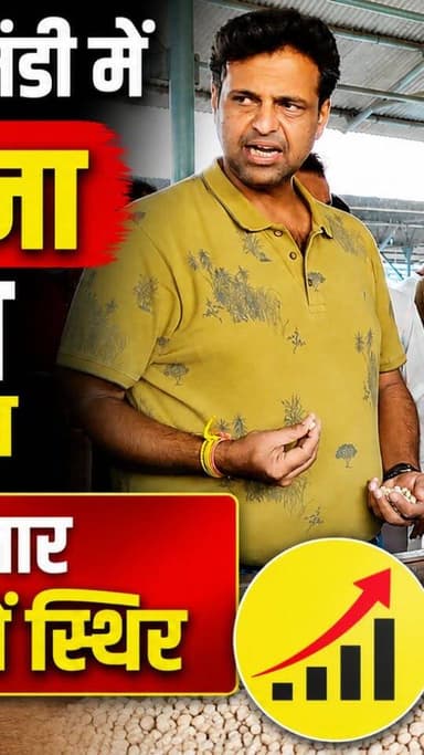 आज धामनोद मंडी में डॉलर चना का भाव प्रकार रहा, आज डॉलर चना में तेजी के साथ स्थिरता देखने मिली
आज धामनोद मंडी में डॉलर चना 8835, 8705, 8685, 8650, 8625, 8605, 8400, 8435, 8300, 8210, 8250, 8200, 8035, 8140, 7985, 7600 करके क्वालिटी अनुसार बिका
24 जुलाई 2026
Dhamnod Mandi Bhav
.
.
.
.
.
.
.
.
.
.
.
.
.
.
.
.
#dhamnodmandibhav #dhamnodmandi #dollarchanamandibhav #dollarchanamandi #mandibhavtoday