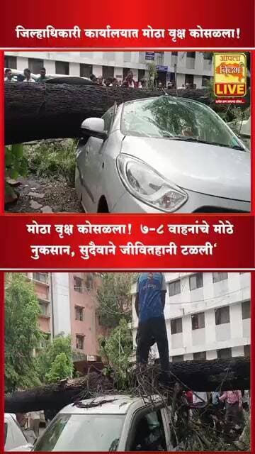 नाशिक जिल्हाधिकारी कार्यालयात मोठा वृक्ष कोसळला! 🌳7-8वाहनांचे मोठे नुकसान, #shorts #viral #video