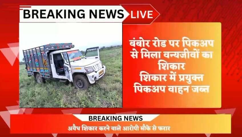 टोंक में नीलगाय के अवैध शिकार का खुलासा
डीएसटी टीम की बड़ी कार्रवाई, 4 मृत नीलगाय बरामद
बंबोर रोड पर पिकअप से मिला वन्यजीवों का शिकार
#BreakingNews
#PoliceAction
#CrimeUpdate
#WildlifeCrime (वन्यजीव शिकार की खबर)
#IllegalMining (अवैध बजरी/खनन की खबर)
#TonkPolice
#LawAndOrder
#Exclusive
#TopStory
#NewsAlert