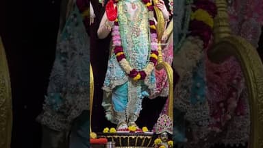 रघुनंदन राघव राम हरे सियाराम हरे सियाराम हरे #ram #sitaram #bhajan #trending