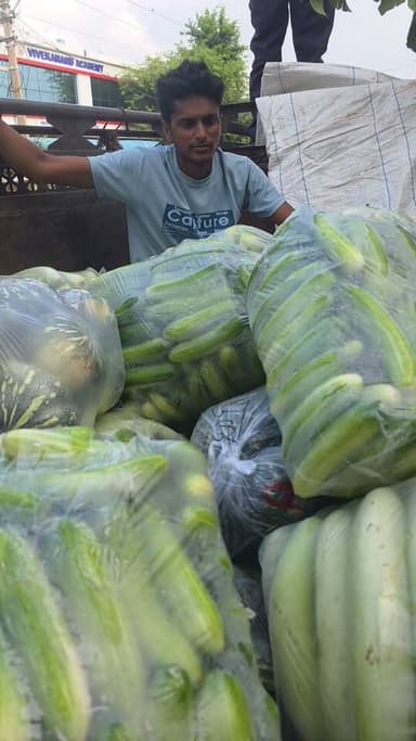 खीरे 🥒 व कद्दू की टॉप फसल 🔥🔥
#किसानकेंद्र #kisankendraa