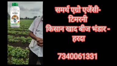 सोयाबीन की फसल के अंदर चारा मार दवाई के साथ अग्रसत्व प्लस मिलाकर छिड़काव करने के बाद क्या परिणाम आते हैं देखिए। #सोयाबीन