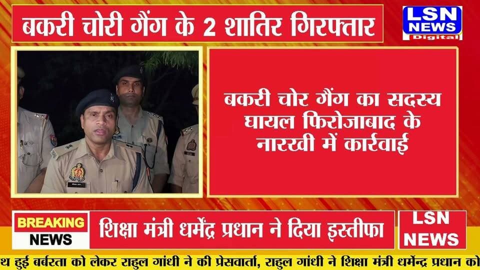 फिरोजाबाद में पुलिस मुठभेड़! बकरी चोरी गैंग के 2 शातिर गिरफ्तार, 1 के पैर में लगी गोली
#Firozabad #FirozabadNews #Narखी #PoliceEncounter #PoliceAction #BakriChorGang #UPPolice #UPNews #BreakingNews #LSNNEWS