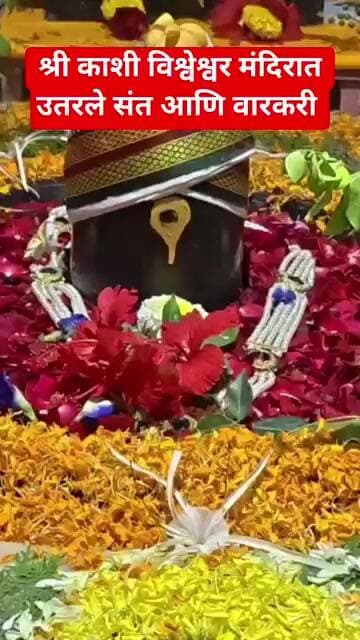 श्री महादेव मंदिरात "रामकृष्ण हरी" #टीव्ही9मराठी #marathinews #gaurisarri #marathi #news #vaduj