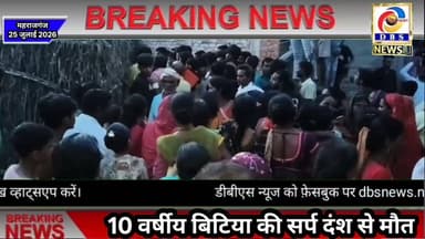 कोबरा के डसने से 10 वर्षीय बालिका की मौत, कोबरा को सहानी टीम ने पकड़ा #निचलौल #कोबरा #साँप #reptile