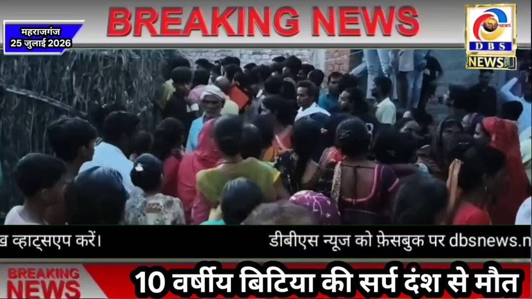 कोबरा के डसने से 10 वर्षीय बालिका की मौत, कोबरा को सहानी टीम ने पकड़ा #निचलौल #कोबरा #साँप #reptile