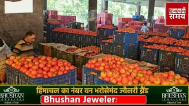 टमाटर के रेट में हल्की सी तेजी ,जानिए क्या रहा भाव
हिमाचल समय - Himachal Samay Media #solansubjimandi