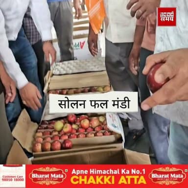 26 जुलाई को सोलन फल मंडी में गाला बिका 2800 रुपए प्रति पेटी
हिमाचल समय - Himachal Samay Media #applemandi