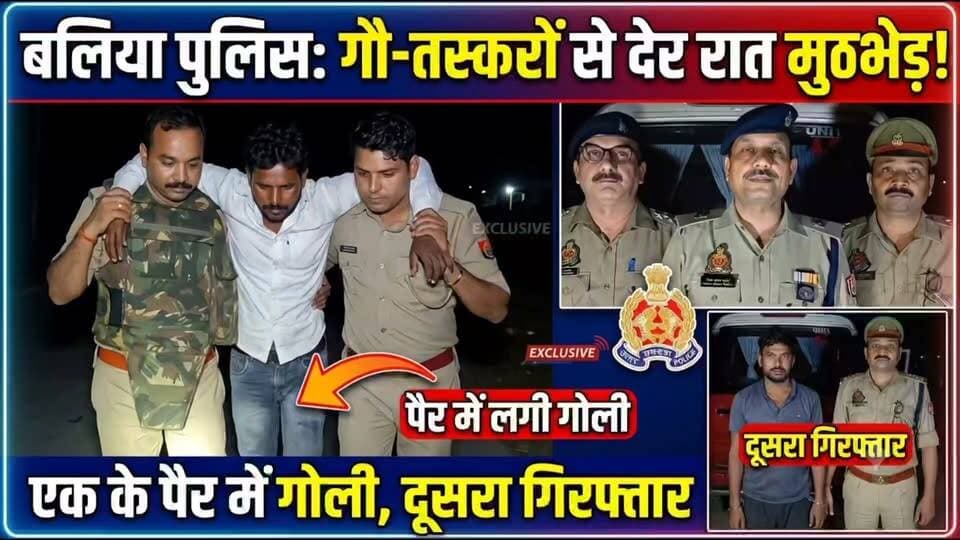 🚨 बलिया में पुलिस और गौ-तस्करों के बीच देर रात मुठभेड़! एक के पैर में लगी गोली, दूसरा गिरफ्तार 🚨
बलिया: एसपी ओमवीर सिंह के निर्देशन में अपराधियों पर चलाए जा रहे 'क्रैक डाउन' अभियान के तहत थाना बांसडीहरोड पुलिस को मिली बड़ी कामयाबी! 💥
बांसडीह रोड तिराहे के पास चेकिंग के दौरान मुखबिर की सूचना पर पुलिस ने तस्करों को घेरा। घिरता देख बदमाशों ने पुलिस टीम पर फायरिंग कर दी, जिसके बाद जवाबी कार्रवाई में एक तस्कर पैर में गोली लगने से घायल हो गया।
📌 मुख्य बातें:
घायल अभियुक्त: कयामुद्दीन उर्फ राजू (28 वर्ष, निवासी इस्लामाबाद काजीपुरा) — पैर में गोली लगी, सदर अस्पताल में भर्ती।
दूसरा अभियुक्त: दीपक अंसारी (40 वर्ष, निवासी अहमदपट्टी, रसड़ा) — मौके से गिरफ्तार।
बरामदगी: 01 अवैध तमंचा (.315 बोर), कारतूस और 01 अवैध चाकू।
अपराधियों और गौ-तस्करों के खिलाफ बलिया पुलिस का सख्त रुख जारी! 🚔⚡
#BalliaPolice #UPPolice #PoliceEncounter #CrimeNews #BalliaNews #ActionMode #BreakingNews