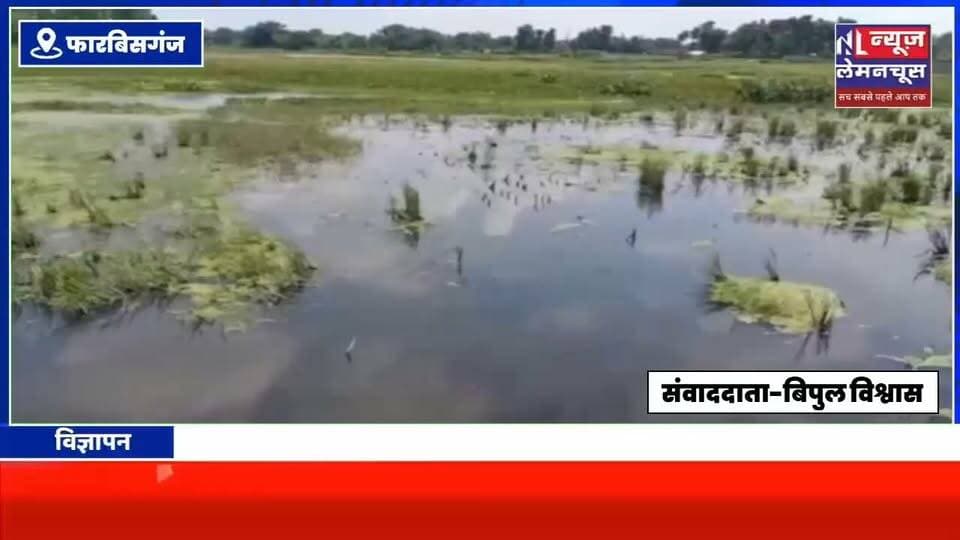 फारबिसगंज नगर परिषद के गंदे पानी से किसानों के खेत जलमग्न, डीएम से समाधान की मांग
#Biharletestnews #Kishanganj #trending #BigNews #Araria #Farbisganj