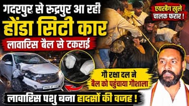 गदरपुर-रुद्रपुर हाईवे पर भीषण हादसा! लावारिस बैल से टकराई होंडा सिटी, खुले एयरबैग, चालक मौके से फरार !
#Rudrapur #Gadarpur #HondaCity #RoadAccident #BullAccident #HighwayAccident #GauRakshaDal #UttarakhandNews #BreakingNews #NewsWorld24India