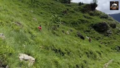 माँ के नाम एक पौधा" अभियान को ग्राम पंचायत कियाव में मिला जनसमर्थन
राजकीय केंद्र प्राथमिक विद्यालय कियाव में जनप्रतिनिधियों, विद्यालय परिवार, महिला मंडलों एवं वन विभाग के सहयोग से व्यापक पौधारोपण किया गया। सभी ने पर्यावरण संरक्षण और लगाए गए पौधों की देखभाल का संकल्प लिया।
#Hashtags:
#MaaKeNaamEkPaudha #PlantationDrive #Environment #SaveTrees #GreenHimachal #RampurBushahr #Kiyaw #HimachalPradesh #EcoFriendly #NatureConservation #TreePlantation #GoGreen #KalamJeetKi #MonikaThakur #ShimlaNews #LocalNews #DevBhoomiHimachal