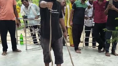 देवरिया में सर्प रक्षक चंद्रशेखर पाल का सराहनीय प्रयास, सांपों को रेस्क्यू कर सुरक्षित जंगलों में छोड़ रहे
#देवरिया। रामपुर कारखाना थाना क्षेत्र के रणछोड़ कुटी चौराहे के रहने वाले सर्प रक्षक चंद्रशेखर पाल लंबे समय से सांपों को रेस्क्यू करने का कार्य कर रहे हैं। उनका उद्देश्य सांपों और इंसानों, दोनों की सुरक्षा सुनिश्चित करना है। ग्रामीण क्षेत्रों में जब भी किसी घर, दुकान या गांव में सांप निकलने की सूचना मिलती है, तो चंद्रशेखर पाल मौके पर पहुंचकर सावधानीपूर्वक सांप को रेस्क्यू करते हैं और उसे सुरक्षित स्थान पर छोड़ देते हैं।
चंद्रशेखर पाल का कहना है कि सांपों को मारने के बजाय उनका सुरक्षित रेस्क्यू कर उन्हें उनके प्राकृतिक वातावरण में छोड़ना ही बेहतर है। वह विभिन्न प्रजातियों के सांपों को पकड़ने का कार्य करते हैं और ग्रामीणों की सूचना पर दूर-दराज के क्षेत्रों में भी पहुंचते हैं। उनके इस प्रयास से जहां ग्रामीणों को जहरीले सांपों से होने वाले खतरे से राहत मिलती है, वहीं सांपों की जान भी बचाई जा रही है।
ग्रामीणों के मुताबिक, घरों और गांवों में सांप निकलने पर लोग डर जाते हैं और कई बार उन्हें मारने का प्रयास करते हैं। ऐसे में सर्प रक्षक चंद्रशेखर पाल को सूचना देने पर वह मौके पर पहुंचकर सांप को सुरक्षित तरीके से रेस्क्यू करते हैं और बाद में उसे जंगल या उसके प्राकृतिक आवास में छोड़ देते हैं। उनके इस कार्य की स्थानीय लोगों द्वारा सराहना की जा रही है।
सर्प रक्षक चंद्रशेखर पाल ने लोगों से अपील की है कि यदि किसी के घर, परिसर या गांव में सांप दिखाई दे तो घबराएं नहीं और उसे मारने का प्रयास न करें। तत्काल प्रशिक्षित सर्प रक्षक को सूचना दें, ताकि सांप को सुरक्षित तरीके से रेस्क्यू कर इंसानों और सांप दोनों की जान बचाई जा सके।