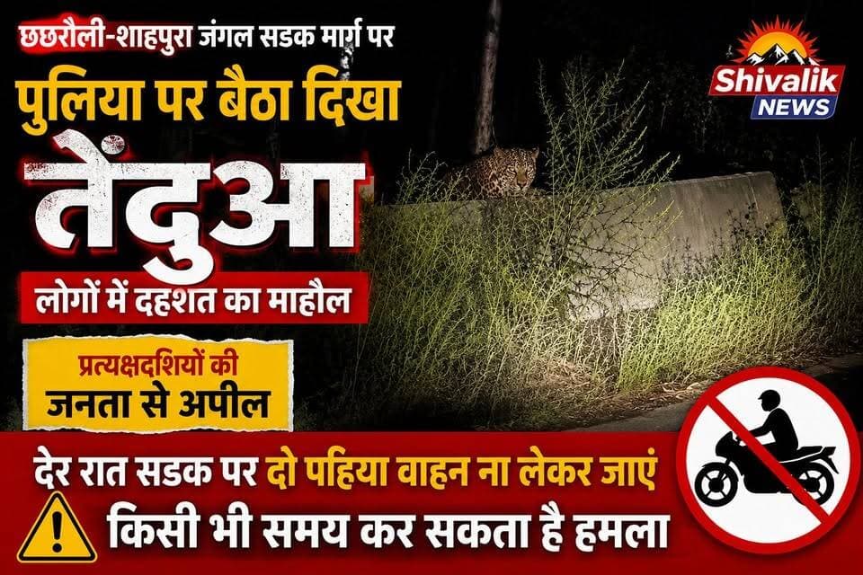 छछरौली शाहपुरा जंगल रास्ते पर सड़क की पुलिया पर पिछले कई दिनों से तेंदुआ बैठा नजर आ रहा है, जनता से अपील दोपहिया वाहन चालक बरतें सावधानी
#hr71 #Sadora #jagadhri #protest