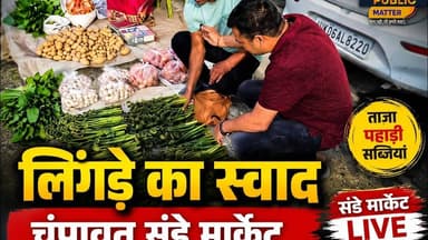 चंपावत में सजी संडे मार्केट घर की ताज़ी सब्जियां और लिंगड़े का खास स्वाद