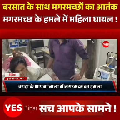 Bihar news : बगहा के भापसा नाला में फिर मगरमच्छ का हमला, महिला गंभीर रूप से घायल; ग्रामीणों की बहादुरी से बची जान। बगहा के वीटीआर से जुड़े भापसा नाला क्षेत्र में मगरमच्छों का आतंक लगातार बढ़ता जा रहा है। रविवार सुबह नौरंगिया थाना क्षेत्र के सिरिसिया-बेलहवा कच्ची सड़क स्थित भापसा नाला पार कर खेत जा रही बरसाती देवी पर मगरमच्छ ने हमला कर दिया। मगरमच्छ ने महिला के दोनों पैरों को अपने जबड़ों में दबोच लिया, लेकिन साथ चल रहे ग्रामीणों की बहादुरी और तत्परता से उनकी जान बच गई।प्रत्यक्षदर्शियों के अनुसार, महिला की चीख सुनते ही ग्रामीणों ने लाठी, कुदाल और छाते से मगरमच्छ पर हमला कर दिया। लोगों के शोर और जवाबी कार्रवाई से मगरमच्छ महिला को छोड़कर झाड़ियों में भाग गया। इसके बाद घायल महिला को सुरक्षित बाहर निकालकर वन विभाग को सूचना दी गई।सूचना मिलते ही मदनपुर वनक्षेत्र की टीम, डायल-112 पुलिस और स्थानीय जनप्रतिनिधि मौके पर पहुंचे। वनकर्मियों ने घायल महिला को तत्काल बगहा अनुमंडलीय अस्पताल पहुंचाया, जहां प्राथमिक उपचार के बाद उनकी हालत खतरे से बाहर बताई गई।मदनपुर वन क्षेत्र पदाधिकारी नसीम अहमद अंसारी ने बताया कि भापसा नाला मगरमच्छों का प्राकृतिक आवास है। आवेदन मिलने के बाद नियमानुसार मुआवजा देने की प्रक्रिया पूरी की जाएगी। उन्होंने लोगों से बरसात के मौसम में इस नाले को पार करने से बचने और वैकल्पिक मार्ग अपनाने की अपील की।गौरतलब है कि एक सप्ताह पहले भी इसी क्षेत्र में मगरमच्छ के हमले में किसान केदार बैठा की मौत हो गई थी। लगातार हो रहे हमलों से भापसा नाला के आसपास के ग्रामीणों में दहशत का माहौल है और लोग खेत जाने से पहले भी भय महसूस कर रहे हैं।#Bagaha #CrocodileAttack #ValmikiTigerReserve #WestChamparan #BiharNews #Wildlife #ForestDepartment #BreakingNews #Nature #IndiaNews