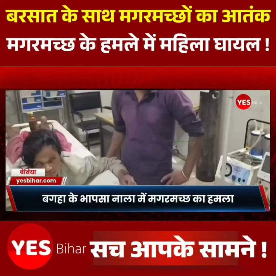 Bihar news : बगहा के भापसा नाला में फिर मगरमच्छ का हमला, महिला गंभीर रूप से घायल; ग्रामीणों की बहादुरी से बची जान। बगहा के वीटीआर से जुड़े भापसा नाला क्षेत्र में मगरमच्छों का आतंक लगातार बढ़ता जा रहा है। रविवार सुबह नौरंगिया थाना क्षेत्र के सिरिसिया-बेलहवा कच्ची सड़क स्थित भापसा नाला पार कर खेत जा रही बरसाती देवी पर मगरमच्छ ने हमला कर दिया। मगरमच्छ ने महिला के दोनों पैरों को अपने जबड़ों में दबोच लिया, लेकिन साथ चल रहे ग्रामीणों की बहादुरी और तत्परता से उनकी जान बच गई।प्रत्यक्षदर्शियों के अनुसार, महिला की चीख सुनते ही ग्रामीणों ने लाठी, कुदाल और छाते से मगरमच्छ पर हमला कर दिया। लोगों के शोर और जवाबी कार्रवाई से मगरमच्छ महिला को छोड़कर झाड़ियों में भाग गया। इसके बाद घायल महिला को सुरक्षित बाहर निकालकर वन विभाग को सूचना दी गई।सूचना मिलते ही मदनपुर वनक्षेत्र की टीम, डायल-112 पुलिस और स्थानीय जनप्रतिनिधि मौके पर पहुंचे। वनकर्मियों ने घायल महिला को तत्काल बगहा अनुमंडलीय अस्पताल पहुंचाया, जहां प्राथमिक उपचार के बाद उनकी हालत खतरे से बाहर बताई गई।मदनपुर वन क्षेत्र पदाधिकारी नसीम अहमद अंसारी ने बताया कि भापसा नाला मगरमच्छों का प्राकृतिक आवास है। आवेदन मिलने के बाद नियमानुसार मुआवजा देने की प्रक्रिया पूरी की जाएगी। उन्होंने लोगों से बरसात के मौसम में इस नाले को पार करने से बचने और वैकल्पिक मार्ग अपनाने की अपील की।गौरतलब है कि एक सप्ताह पहले भी इसी क्षेत्र में मगरमच्छ के हमले में किसान केदार बैठा की मौत हो गई थी। लगातार हो रहे हमलों से भापसा नाला के आसपास के ग्रामीणों में दहशत का माहौल है और लोग खेत जाने से पहले भी भय महसूस कर रहे हैं।#Bagaha #CrocodileAttack #ValmikiTigerReserve #WestChamparan #BiharNews #Wildlife #ForestDepartment #BreakingNews #Nature #IndiaNews