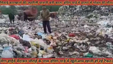 #मिठाई_कारखानों_की_जहरीली_चाशनी_बनी_काल_डंपिंग_यार्ड #में_सड़ा_पानी_डालने_से_सैकड़ों_गोवंश_की_मौत
#mithai #karkhano #ki #jahrili #chashani #bani #kaal #damping #yard #me #sada #pani #dalane #se #sekado #govansh #ki #mout #news #didwanajila