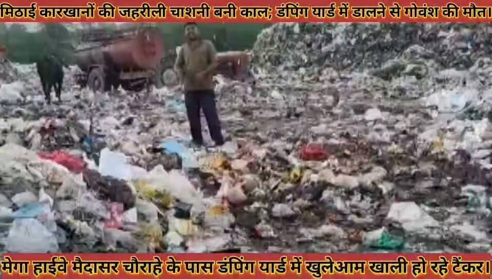 #मिठाई_कारखानों_की_जहरीली_चाशनी_बनी_काल_डंपिंग_यार्ड #में_सड़ा_पानी_डालने_से_सैकड़ों_गोवंश_की_मौत
#mithai #karkhano #ki #jahrili #chashani #bani #kaal #damping #yard #me #sada #pani #dalane #se #sekado #govansh #ki #mout #news #didwanajila