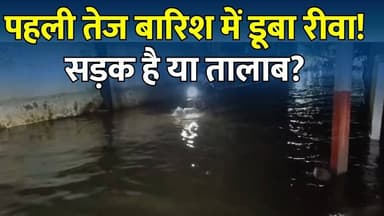 पहली तेज बारिश में रीवा बेहाल! सड़कें बनीं तालाब, लोग बोले- हर साल वही हाल
#vindhyatimes #rewanews #satnanews #shahdolnews #sidhinews #annupurews #umariyanews #singraulinews #naigarhinews #news #mpnews #hindinew #live #bhopal #indore #newsupdate #newslive #Rewa #RewaNews #MPNews #MadhyaPradesh #RainAlert #HeavyRain #Waterlogging #Monsoon2026 #RewaRain #ViralNews #BreakingNews #MunicipalCorporation #WeatherUpdate #HindiNews #NewsUpdate