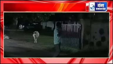 khurai breaking news - जुआ फंडों पर पुलिस की बड़ी कार्रवाई, चार अंकों में रूपये सहित पांच जुआरियों को दबोचा।
#अवैध #khurai #breakingnews #local #trendingreels