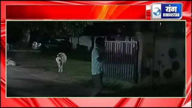 khurai breaking news - जुआ फंडों पर पुलिस की बड़ी कार्रवाई, चार अंकों में रूपये सहित पांच जुआरियों को दबोचा।
#अवैध #khurai #breakingnews #local #trendingreels