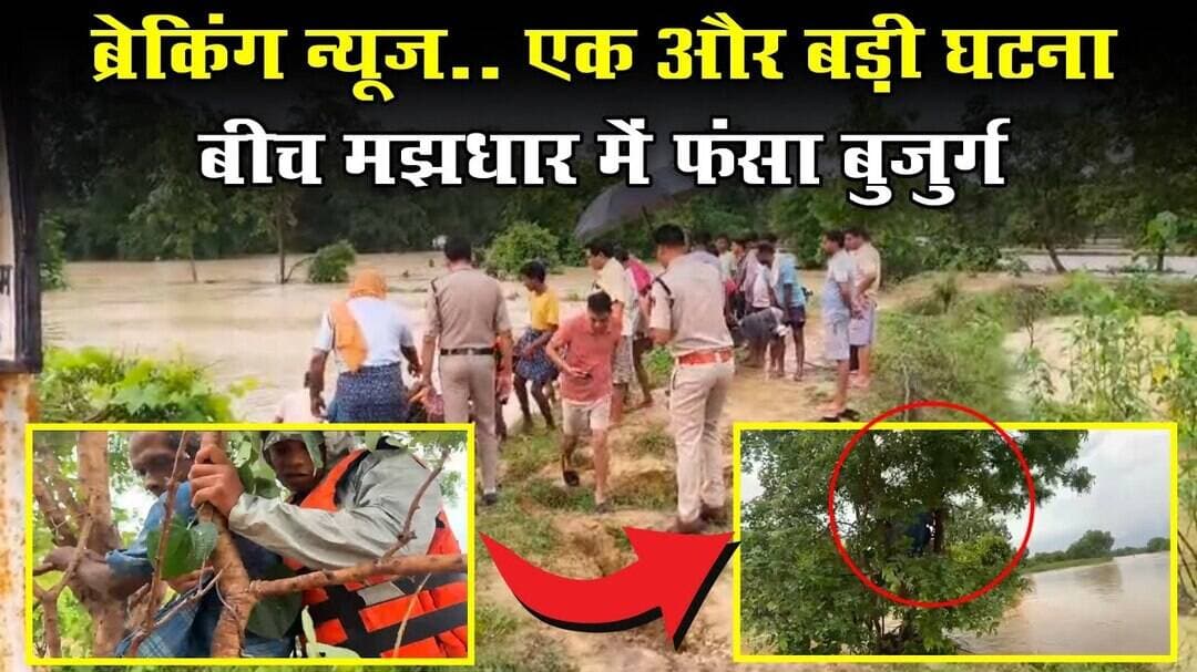 #sarangarh news : एक और बड़ी घटना.. बिच मझधार मे बसा बुजुर्ग || पेड़ बना जीवन दायनीय,,,रात भर बैठा रहा