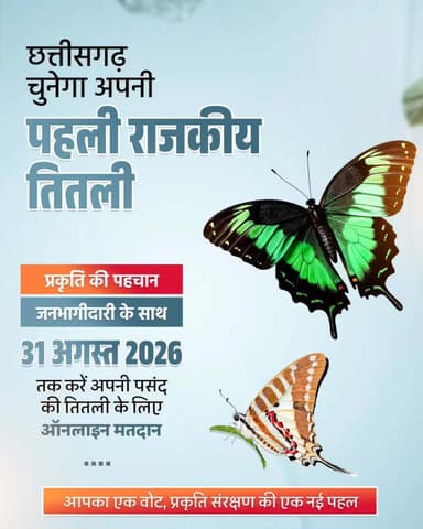 छत्तीसगढ़ की पहली राजकीय तितली चुनने में आपका एक वोट बनेगा प्रकृति संरक्षण की नई पहचान। अपनी पसंद की तितली के लिए वोट करें और इस ऐतिहासिक पहल का हिस्सा बनें।
वोट के लिए ग्राफिक में दिए गए QR कोड को स्कैन करें या Google Form के लिंक
https://docs.google.com/forms/d/e/1FAIpQLSdk9sfDlXNW5myRYNJEWbajefbipm_w30EbF3G8zHAQ1YkqDQ/viewform पर क्लिक करें।
मुख्यमंत्री श्री विष्णु देव साय के नेतृत्व में सुशासन सरकार जनभागीदारी से प्रकृति संरक्षण को नई दिशा दे रही है।
हमारे व्हॉट्सऐप चैनल से जुड़ने के लिए लिंक पर क्लिक करें...
https://whatsapp.com/channel/0029VbBdXyRJf05ivBgauG3V
#NatureConservation #ButterflyOfChhattisgarh #Chhattisgarh
@moefcc
@vishnudsai
@ChhattisgarhCMO
@ForestCgGov