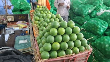 27 जुलाई 2026 दिल्ली मोसंबी के होलसेल भाव #fruitmarket