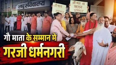 "कुरुक्षेत्र में संतों का महाआह्वान: 'गौ माता को राष्ट्र माता घोषित करो', 5 लाख हस्ताक्षरों के साथ सरकार को चेतावनी!"
#GauMata #GauRaksha #CowProtection #Dharmnagari #Kurukshetra #SanatanDharma #GauSeva #haryananewslive