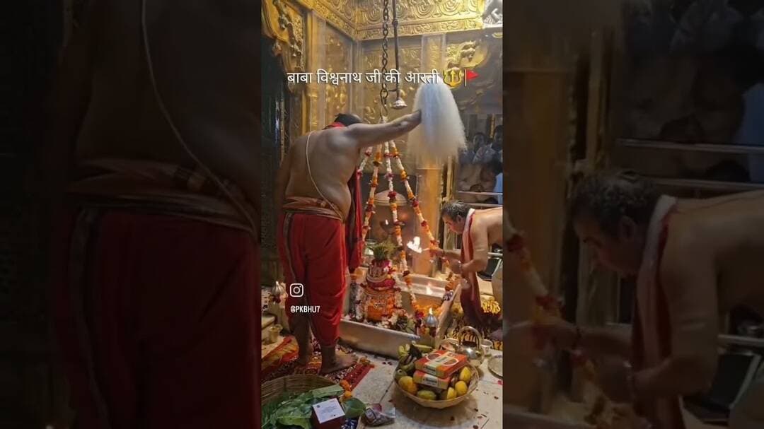 आरती काशी विश्वनाथ जी की #arti #kashivishwanath #status #bholenath