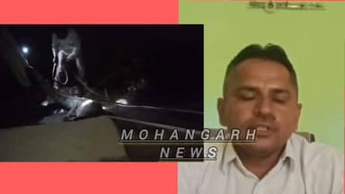 मोहनगढ़ वन विभाग की टीम ने घड़ियाल का सफल रेस्क्यू कर रेंज स्थित रेस्क्यू सेंटर में रखा गया.....
#जैसलमेर #बाड़मेर #jaisalmer #barmer #Bikaner #jodhpur #mohangarh #Forest