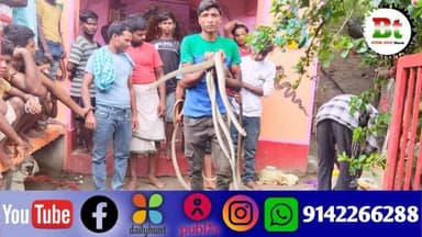 बछवाड़ा प्रखंड के अरवा पंचायत स्थित नया टोल अरवा गांव में नाग पंचमी की तैयारियां जोर-शोर से चल रही हैं। यहां नाग पंचमी से पहले जंगलों से सांप पकड़कर लाने और उनके प्रदर्शन की एक अनूठी परंपरा है।
मंगलवार सुबह नया टोल भगवती स्थान परिसर में दर्जनों सांपों का घंटों तक प्रदर्शन किया गया। इस दौरान बड़ी संख्या में स्थानीय लोग माता भगवती और सांपों के दर्शन के लिए उमड़े, जहां उन्होंने माता भगवती के जयकारे लगाए।
नया टोल भगवती स्थान में वर्ष 1978 से मां विषहर और नाग देवता की पूजा की जाती है। सावन महीने की पंचमी तिथि को पड़ने वाली नाग पंचमी के दिन यहां दर्जनों सांपों का प्रदर्शन होता है।
इस पावन स्थल पर नाग पंचमी के अवसर पर हजारों श्रद्धालु जुटते हैं। वे फूल, दीप, प्रसाद और झाप चढ़ाकर पूजा-अर्चना करते हैं। मान्यता के अनुसार, सच्चे मन से अर्जी लगाने वालों की सभी मनोकामनाएं यहां पूरी होती हैं।
यह भगवती स्थान पहले दुलारपुर में स्थित था। गंगा कटाव के कारण दुलारपुर से सैकड़ों लोग नया टोल अरवा में आकर बस गए, जिसके बाद से यहीं माता भगवती और नाग देवता की पूजा की जा रही है।
सांप पकड़ने वाले अभिषेक कुमार, रौशन कुमार, नीतीश कुमार, लालो कुमार, दिनकर पासवान और सीताराम पासवान ने बताया कि माता भगवती के आशीर्वाद से उन्हें सांपों से कोई डर नहीं लगता। वे पिछले कई वर्षों से नाग पंचमी से पहले घरों और जंगलों से सांप पकड़कर लाते हैं।
उन्होंने यह भी बताया कि वे नाग पंचमी के दिन विधि-विधान से पूजा-अर्चना कर दर्जनों सांपों का प्रदर्शन करते हैं। मैया भगवती की महिमा को अपरंपार बताते हुए उन्होंने कहा कि उनके दरबार में आने वाले श्रद्धालुओं की मनोकामनाएं पूरी होती हैं, और इसी आशीर्वाद के कारण उन्हें सांपों से भय नहीं लगता।
उन्होंने बताया कि नाग पंचमी के साथ-साथ अन्य दिनों में भी जब कोई सूचना मिलती है कि किन्हीं के घरों में या आसपास सांप है, तो वे उन्हें पकड़ने जाते हैं और पकड़ कर जंगल में छोड़ देते हैं।
इस पूजा की शुरुआत दिवंगत फिरो भगत ने की थी। उनके बाद धोखे भगत, बटोरन भगत, असेश्वर भगत और रामेश्वर भगत ने इस परंपरा को आगे बढ़ाया। वर्तमान में रामाज्ञा भगत विधि-विधान से पूजा अर्चना कर रहे हैं।
रामाज्ञा भगत के अनुसार, मैया भगवती और नाग देवता की महिमा अपरंपार है। उन्हीं के आशीर्वाद से भक्त अलग-अलग प्रकार के सांपों को पकड़ते हैं और नाग पंचमी के अवसर पर पूजा के लिए उनका प्रदर्शन किया जाता है। मान्यता है कि इस दरबार में आने वाले श्रद्धालुओं की सभी मनोकामनाएं पूर्ण होती